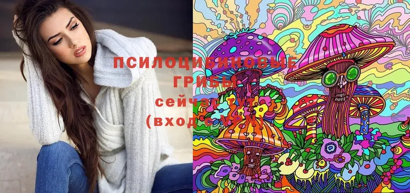 МЕГА ссылки  Козловка  Галлюциногенные грибы Psilocybine cubensis 